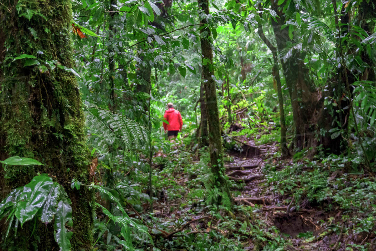 Monteverde Cloud Forest Hike + SkyTrek Zip Lining
