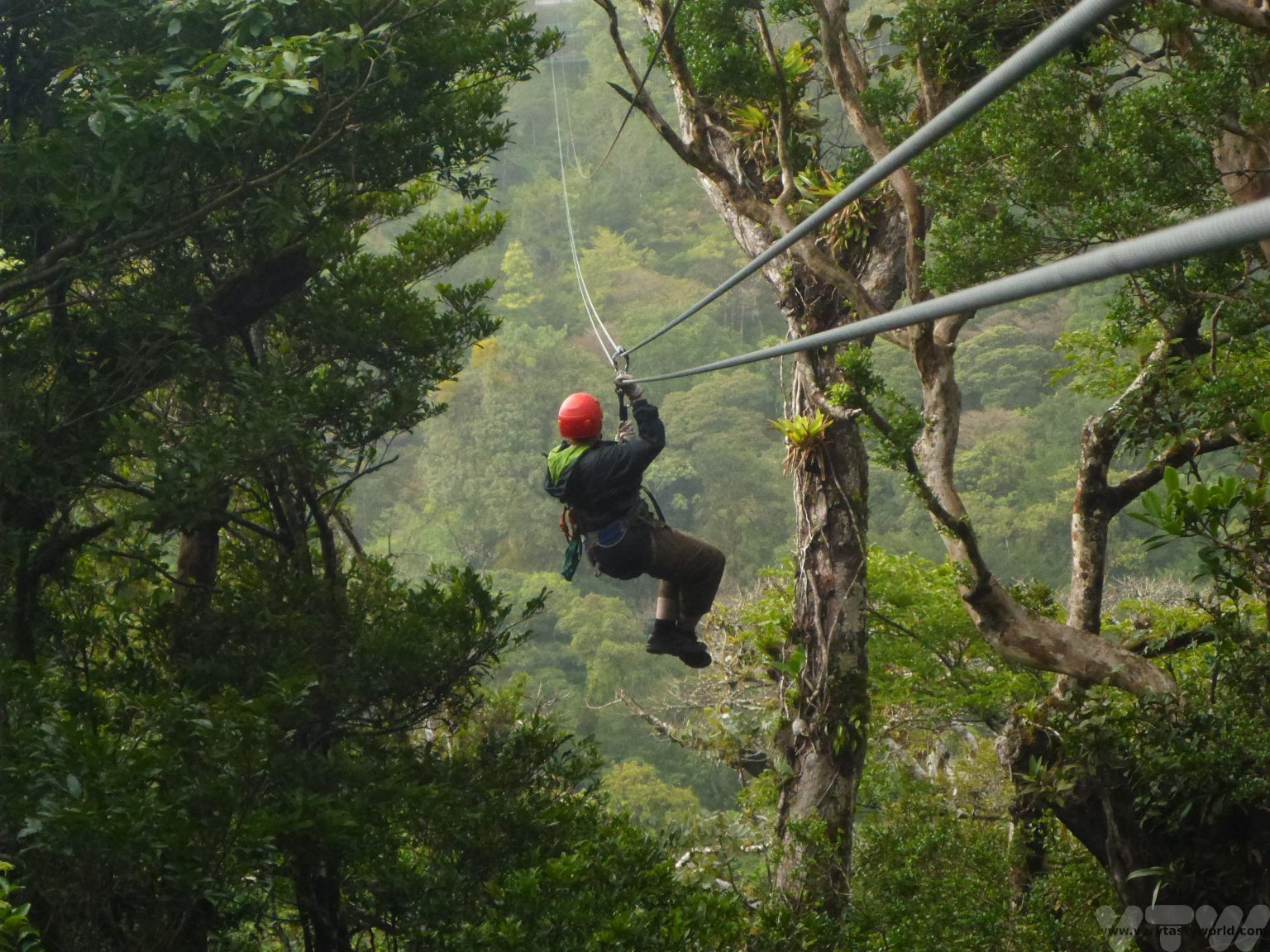 Monteverde Cloud Forest Hike + SkyTrek Zip Lining