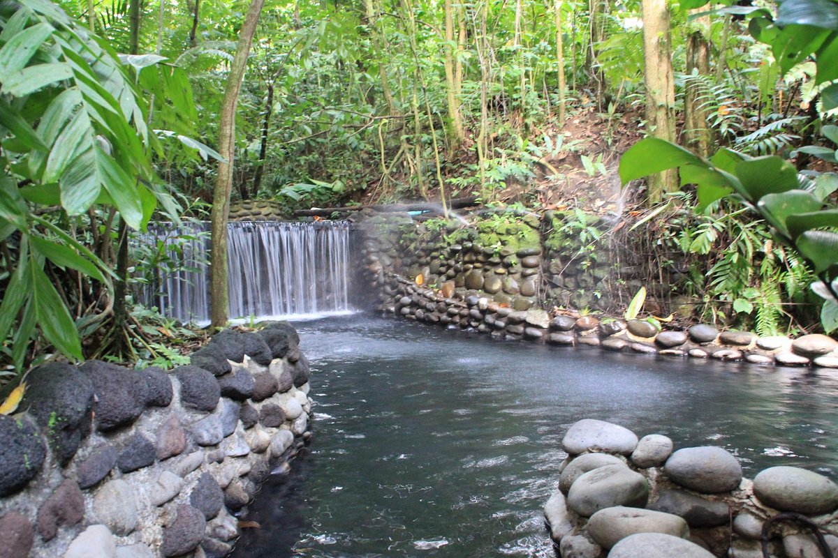 Arenal Hanging Bridges + Eco Termales Hot Springs