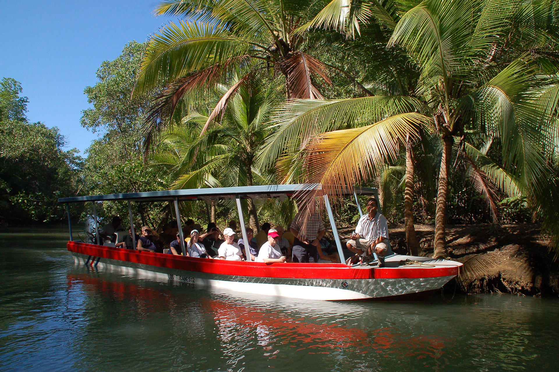 Damas Island Mangrove Boat Experience