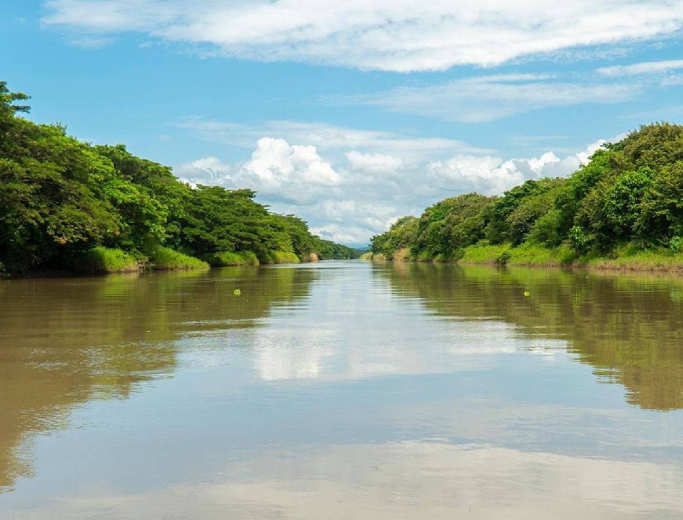 Palo Verde Boat Tour, Cultural Tasting & Rum Experience