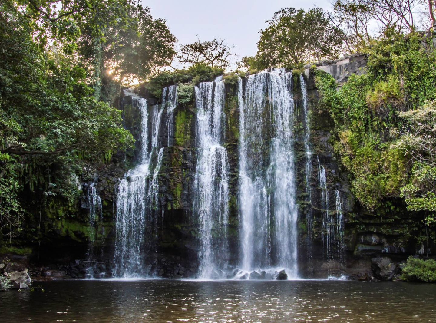 Guanacaste Rainforest Tour